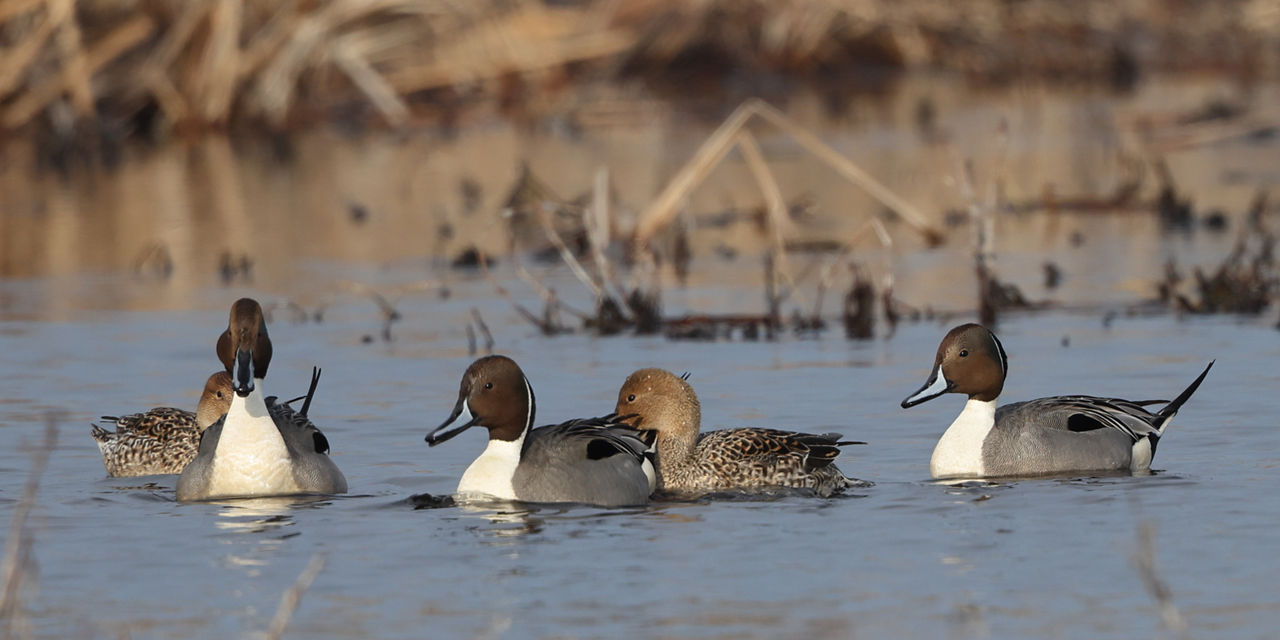 Cloudflare data tools in action